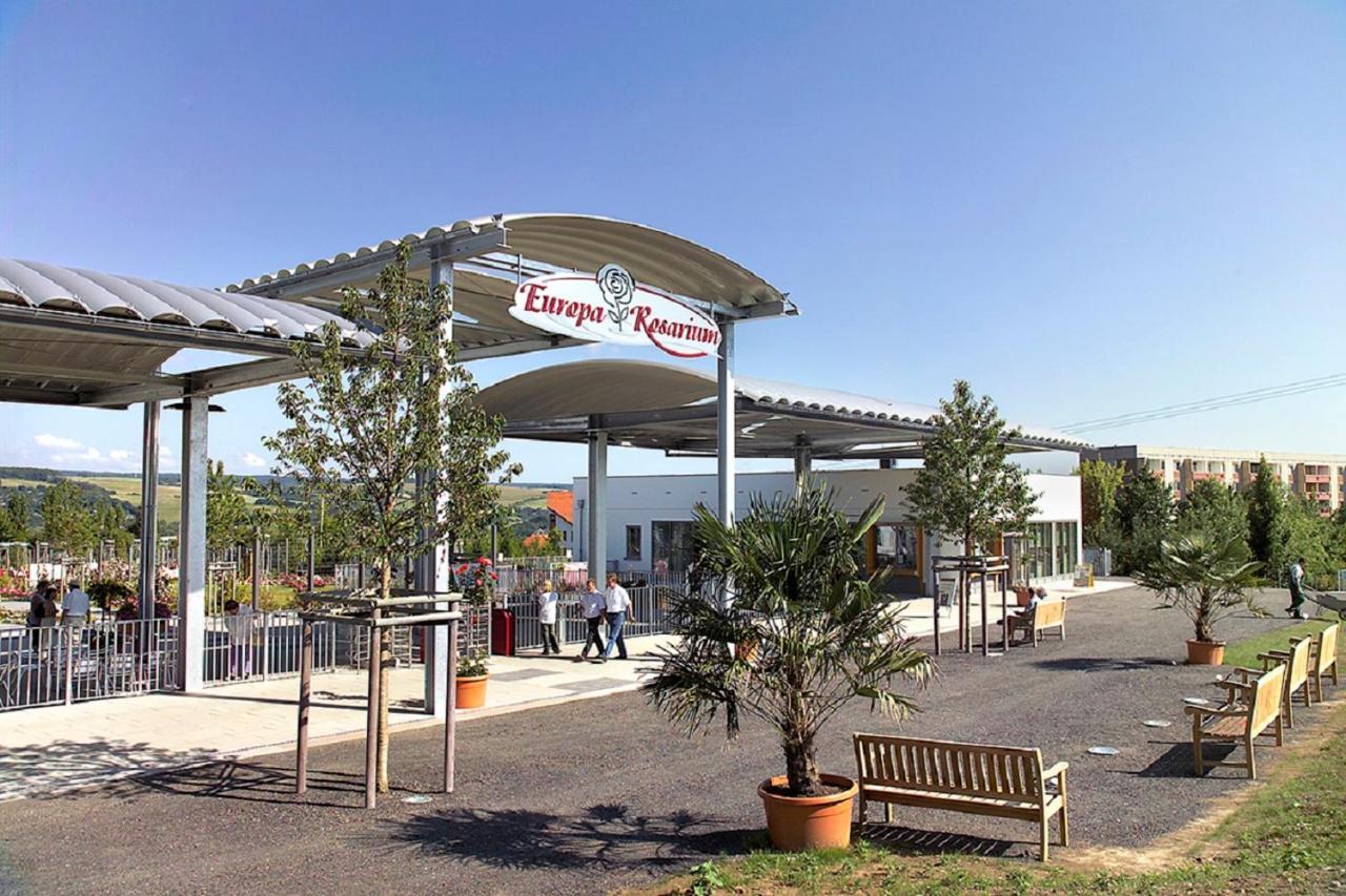 Ferienwohnungen & Campingfaesser Am Kunstteich Wettelrode Exterior foto