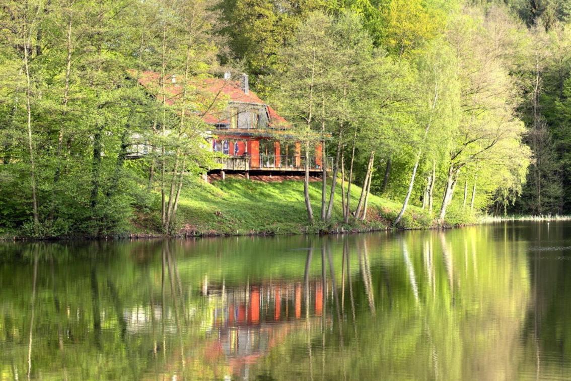 Ferienwohnungen & Campingfaesser Am Kunstteich Wettelrode Quarto foto